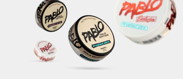 Pablo Nic Pouch Key Features